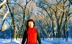 新金瓶龚玥菲电影3d